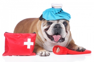 Ankara - Sincan Acil Müdahaleler ve Acil Servis